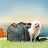 Faltbare Fahrradtasche für den Transport von Hunden und Katzen – schwarz 8