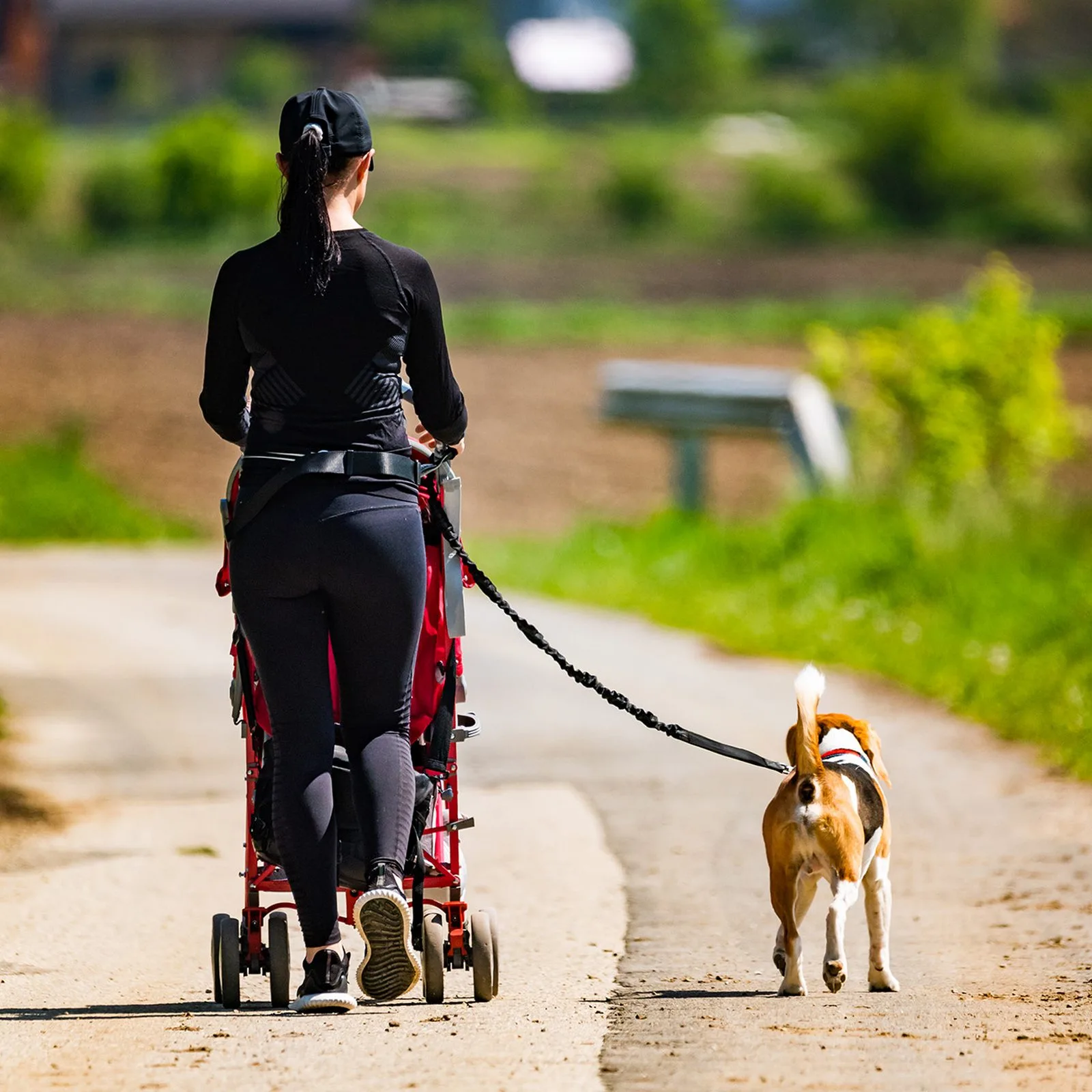 Centură de alergare pentru plimbarea câinelui, cu buzunar și lesă elastică – negru 8