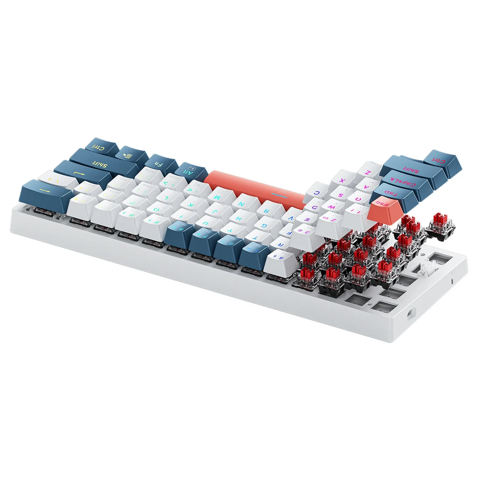 Mechanische Gaming-Tastatur mit kabelgebundenen roten Schaltern und Hintergrundbeleuchtung – Weiß und Blau 3