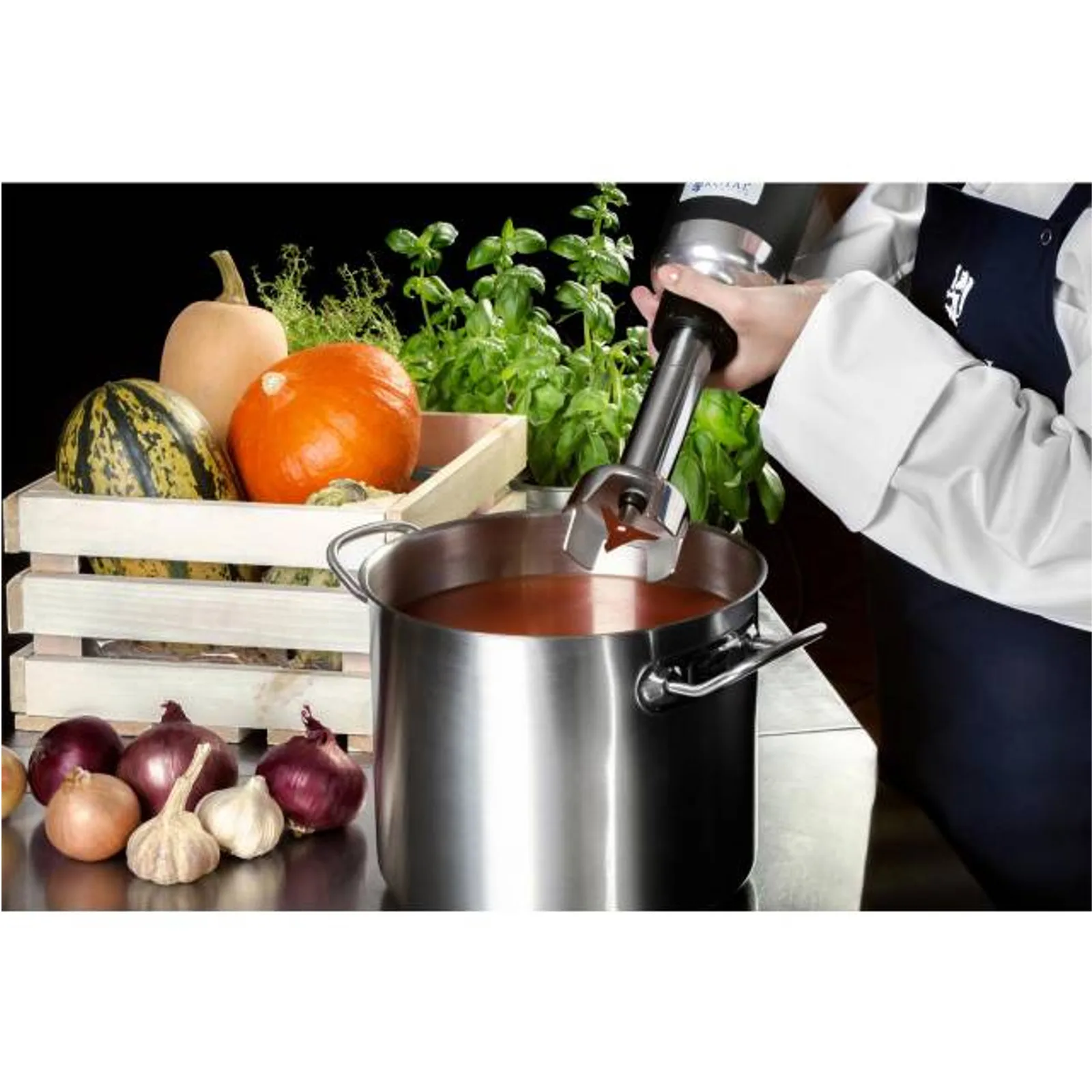Mixer de mână puternic, lungime braț 250 mm, 350 W, 230 V, Royal Catering 4