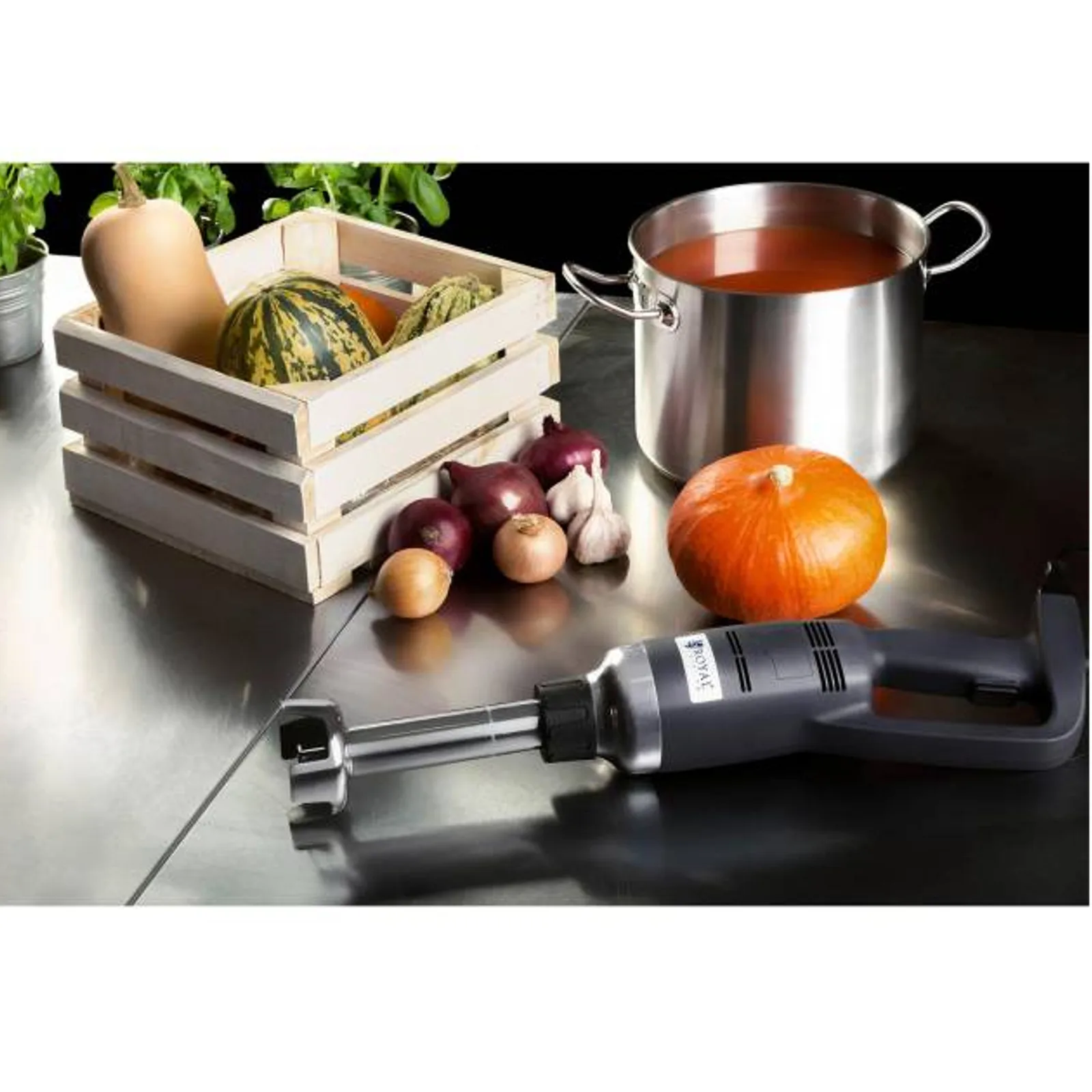 Mixer de mână puternic, lungime braț 250 mm, 350 W, 230 V, Royal Catering 3