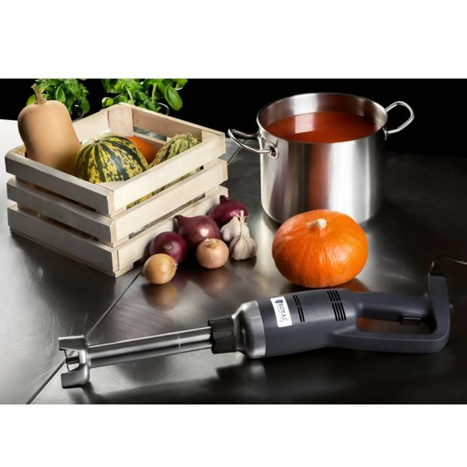 Mixer de mână puternic, lungime braț 300 mm, 350 W, 230 V, Royal Catering 5