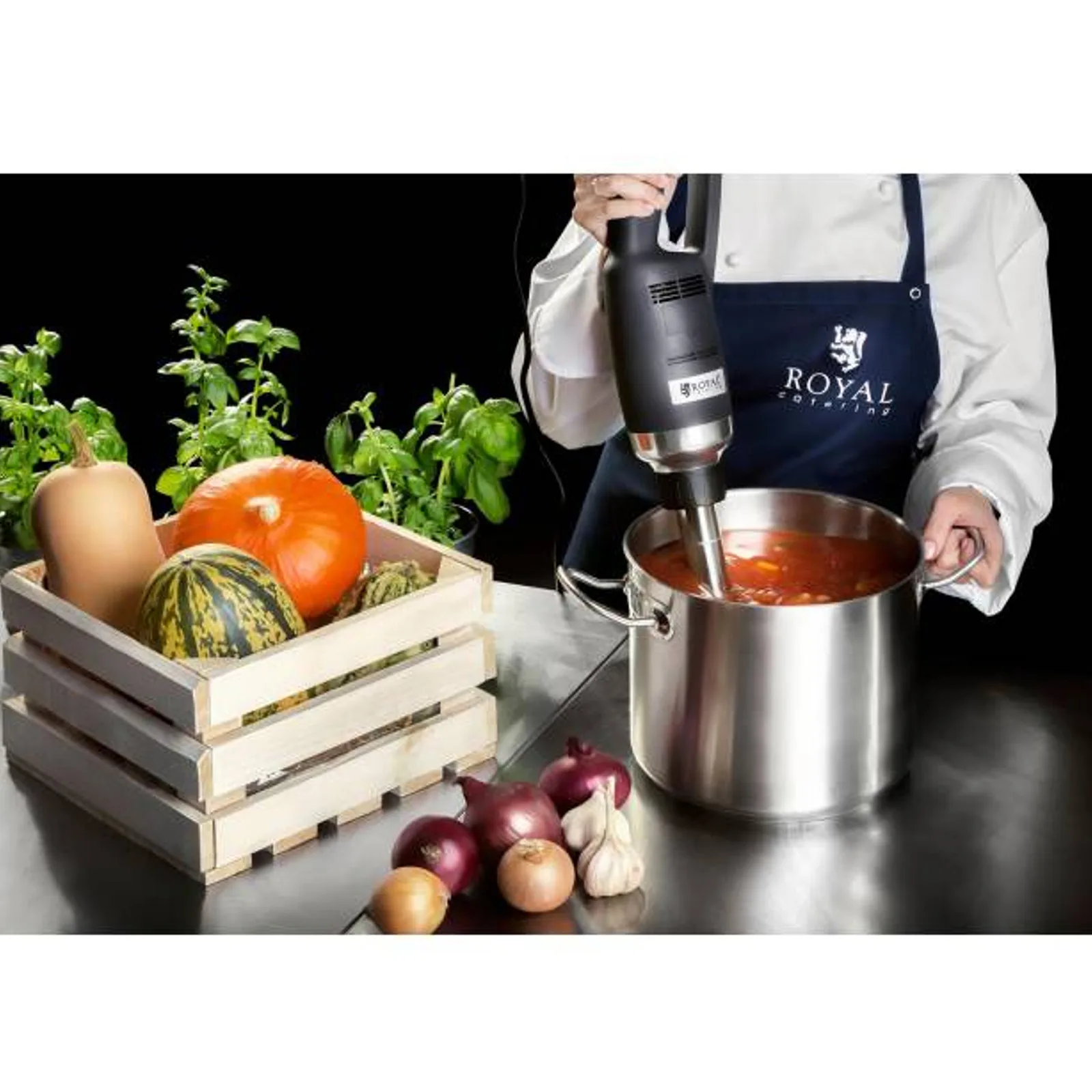 Mixer de mână puternic, lungime braț 300 mm, 350 W, 230 V, Royal Catering 6