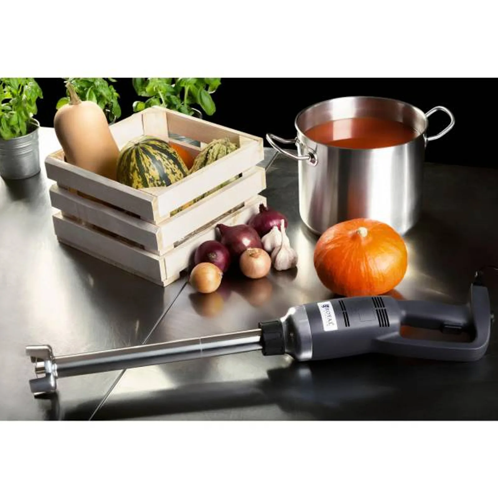 Erőteljes kézi turmixgép, karhossz 400 mm, 350 W, 230 V, Royal Catering 2