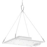 Teljes spektrumú növénynevelő lámpa 30 x 24 cm 234 LED 110 W ezüst 7