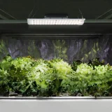 Teljes spektrumú növénynevelő lámpa 30 x 24 cm 234 LED 110 W ezüst 8