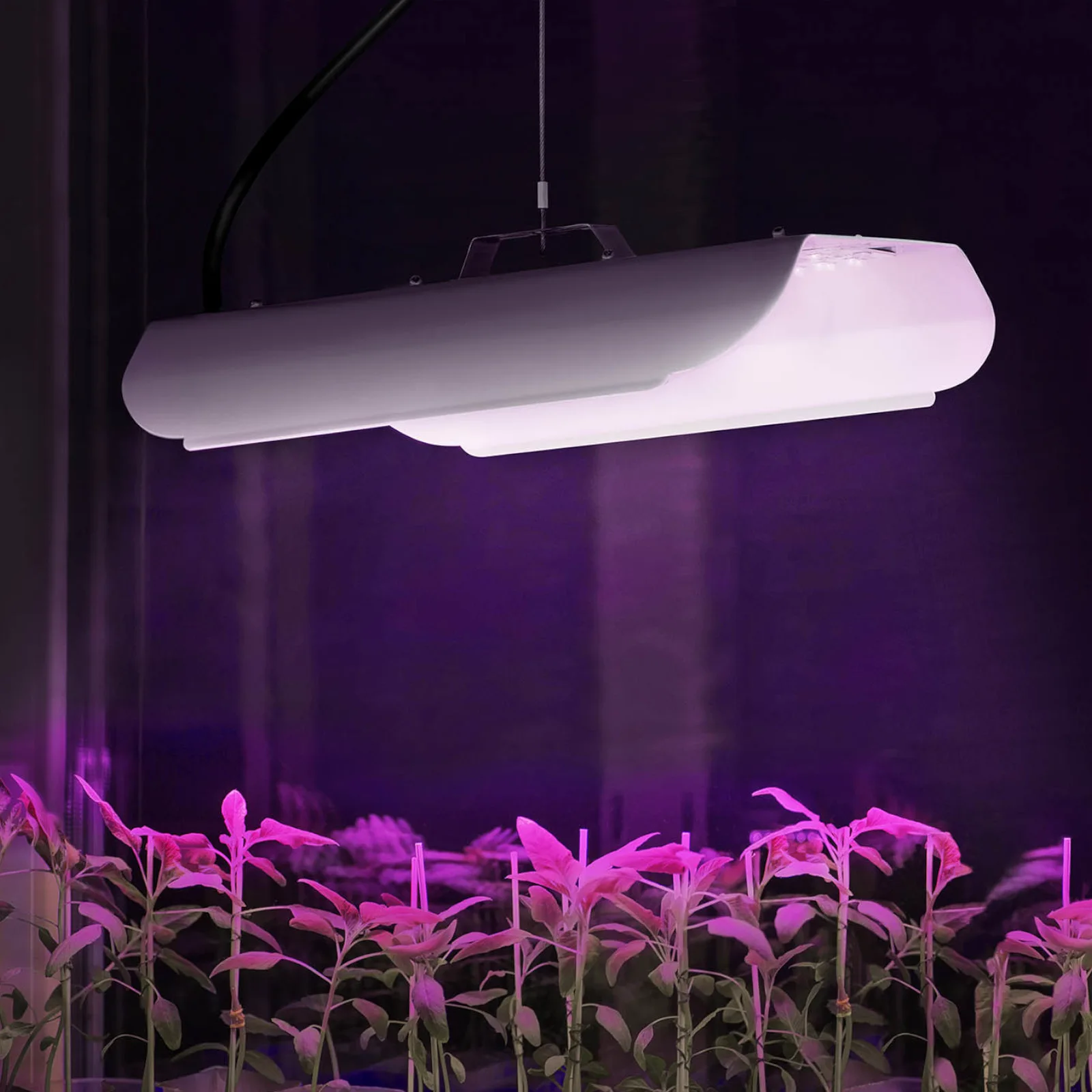 Teljes spektrumú növénynevelő lámpa 25 x 17 cm 136 LED 100 W ezüst 5