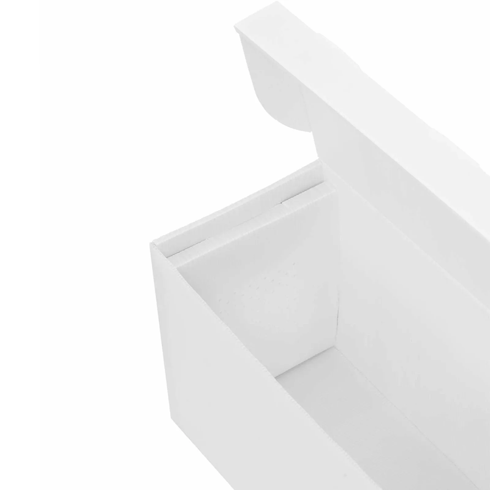 Langstroth plastic storage hive for 5 frames 4