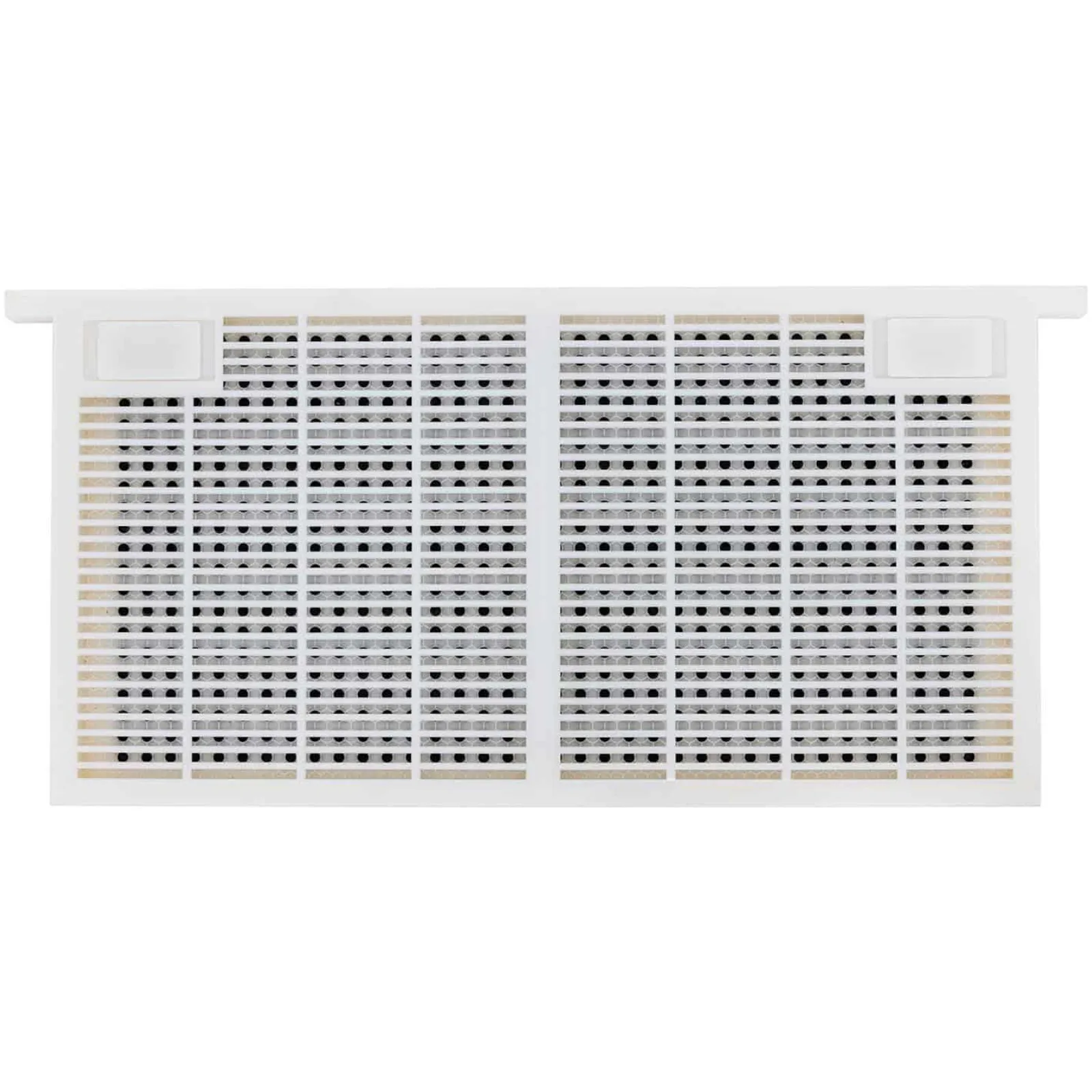 Plastic queen rearing kit 483 x 232 x 42 mm 3