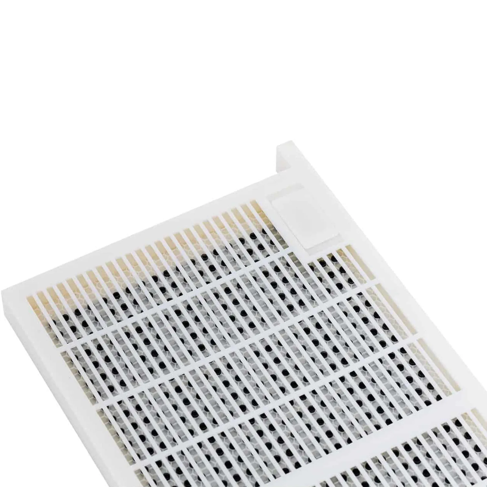 Plastic queen rearing kit 483 x 232 x 42 mm 4