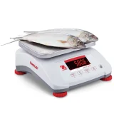 Waga VALOR 4000 z legalizacją kuchenna gastronomiczna wodoodporna IP68 LED 3Kg / 1g - OHAUS V41PWE3T-M 3